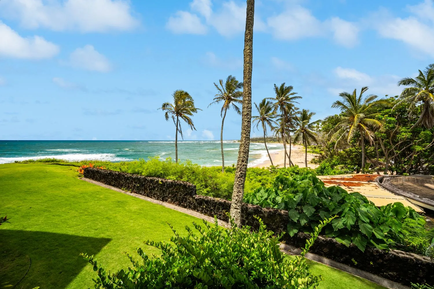 Oceanfront lawn and palm trees