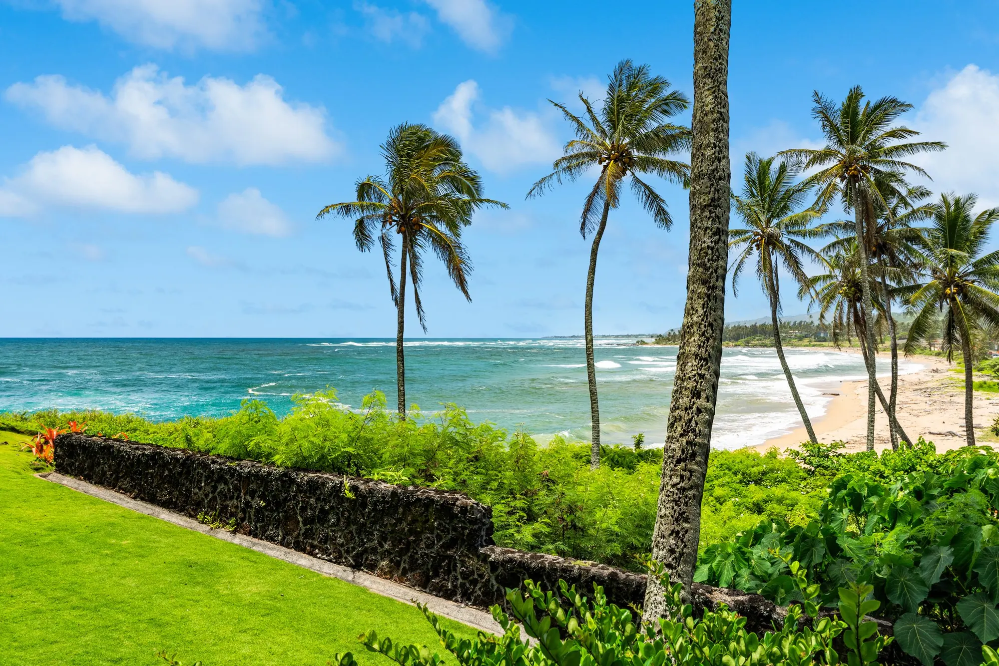 Oceanfront view of Wailua Bay — palms, beach, and surf